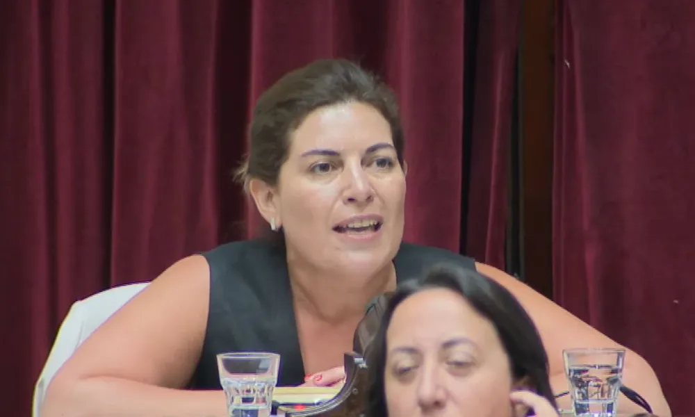 Ana Clara Romero en el Congreso