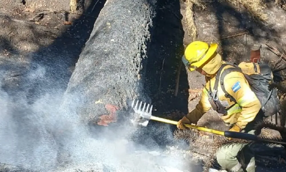 Incendio en Parque Nacional Lanín