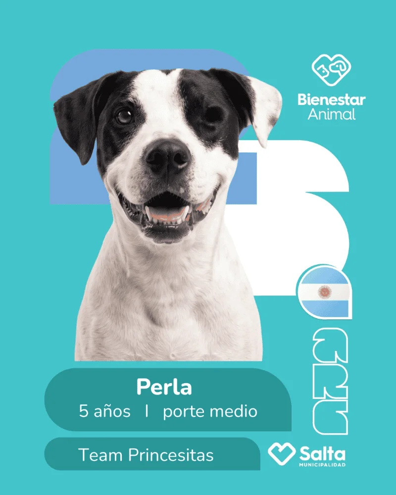 Adopción Salta