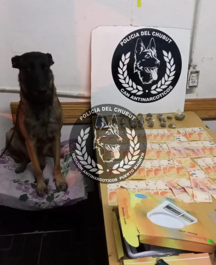 La perra Cala y el secuestro de dinero y Marihuana