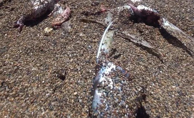 409183217_657156173271810_123175