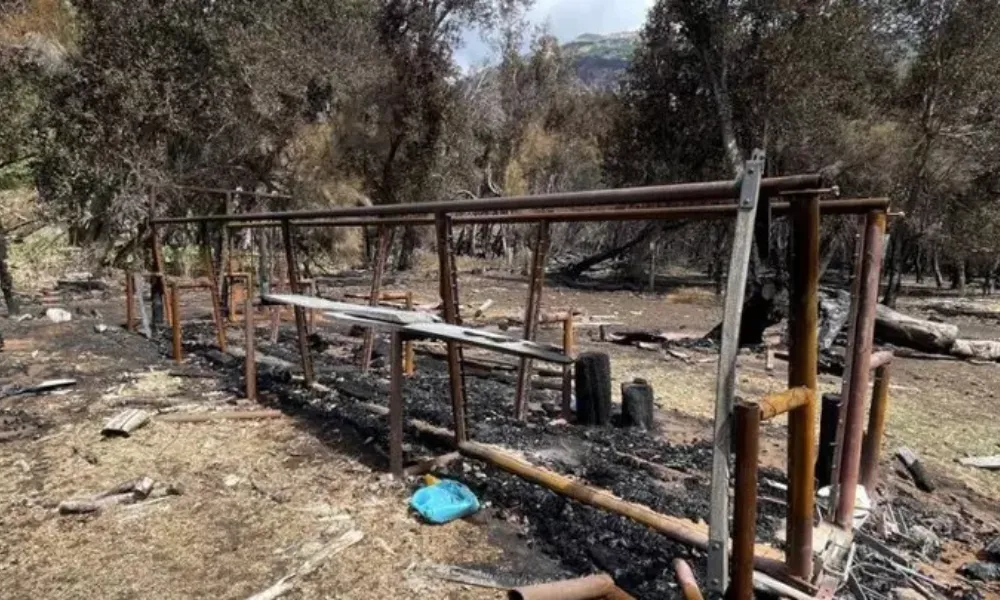 lo que dejaron los incendios