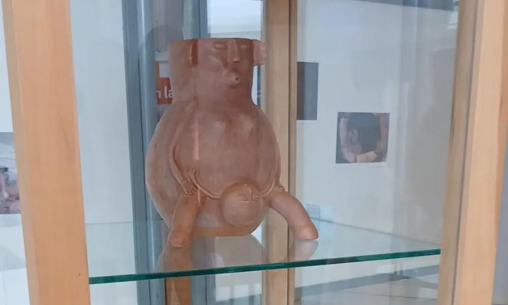 Muestras en el Centro Cultural Provincial