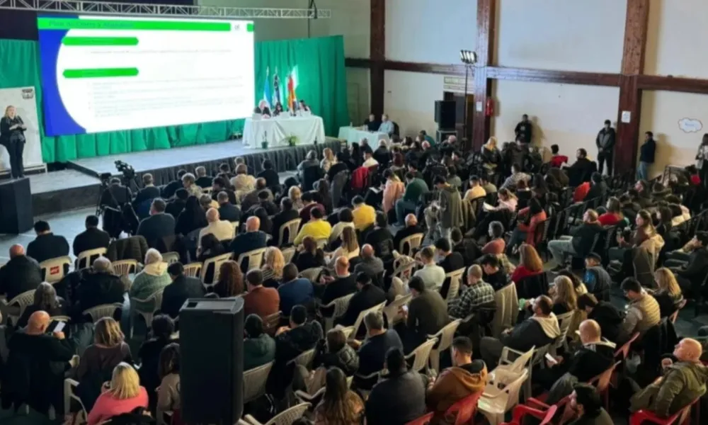 audiencia calcatreu