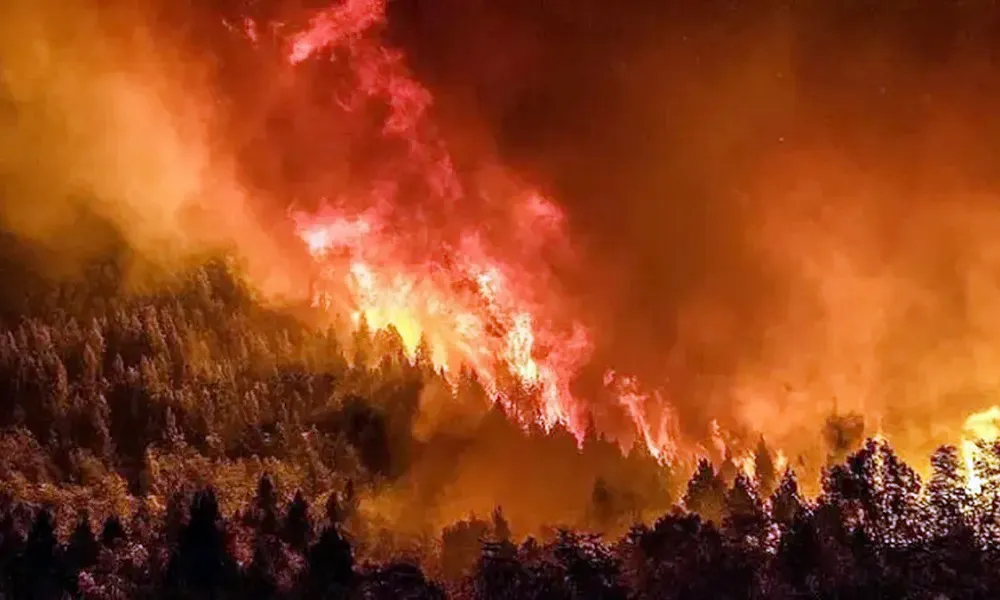 Incendio Nahuel Huapi