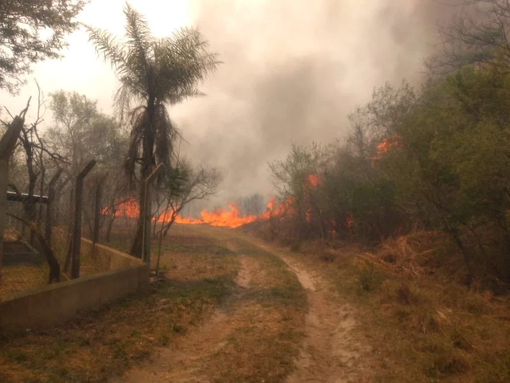 INCENDIOS EN CORRIENTES