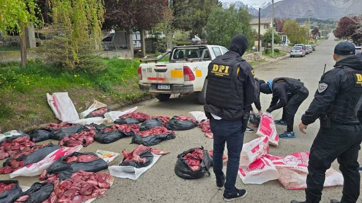 Secuestro de carne de guanaco y puma