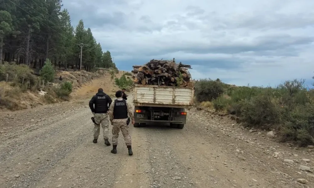 Camión con leña ilegal