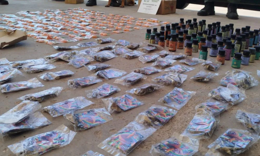 Incautan hongos y brownies con droga