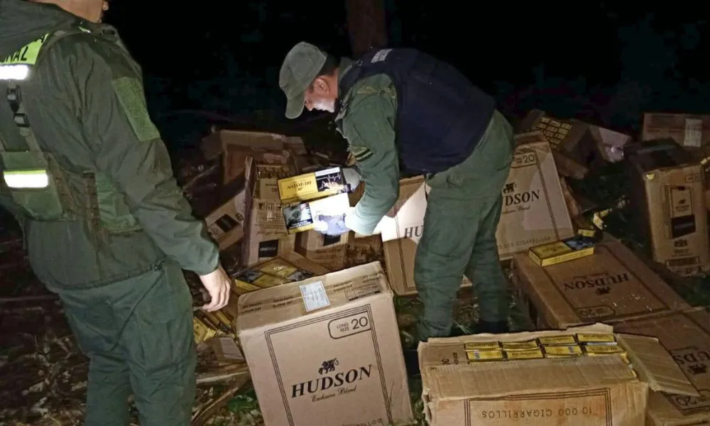 Gendarmería incautó más de 26 mil paquetes de cigarrillos abandonados en una plantación de pinos