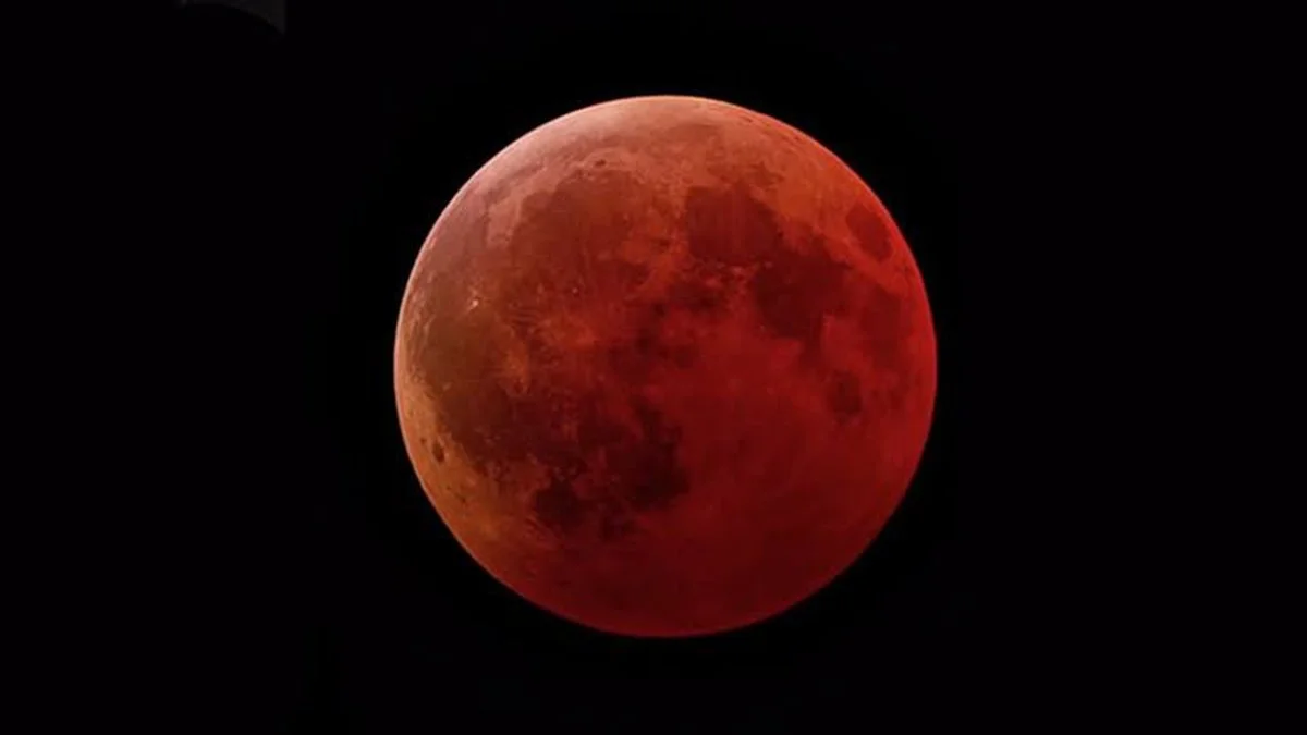Luna de Sangre. Foto Municipalidad de Puerto Madryn