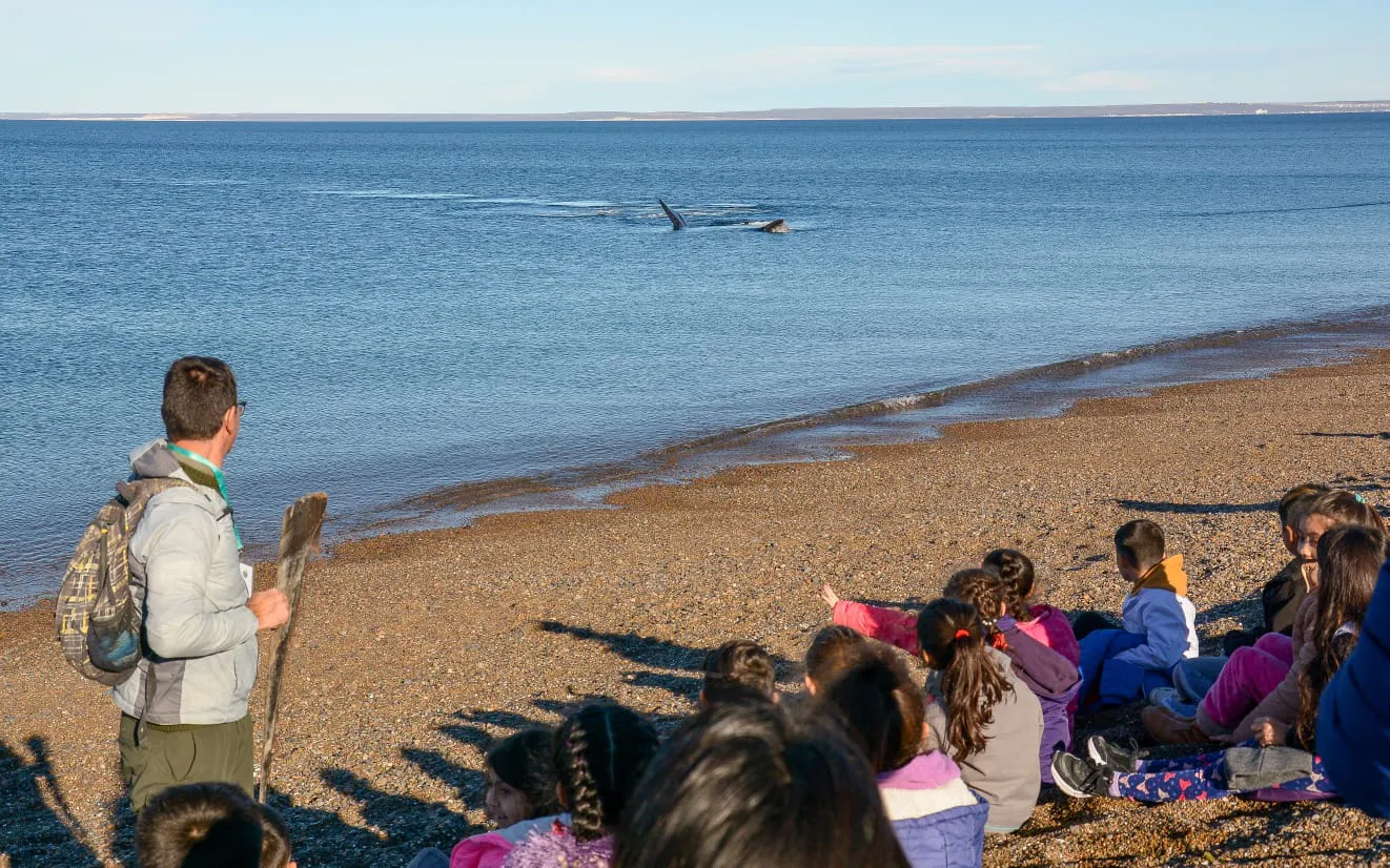 Los chicos de Madryn reciben a las ballenas