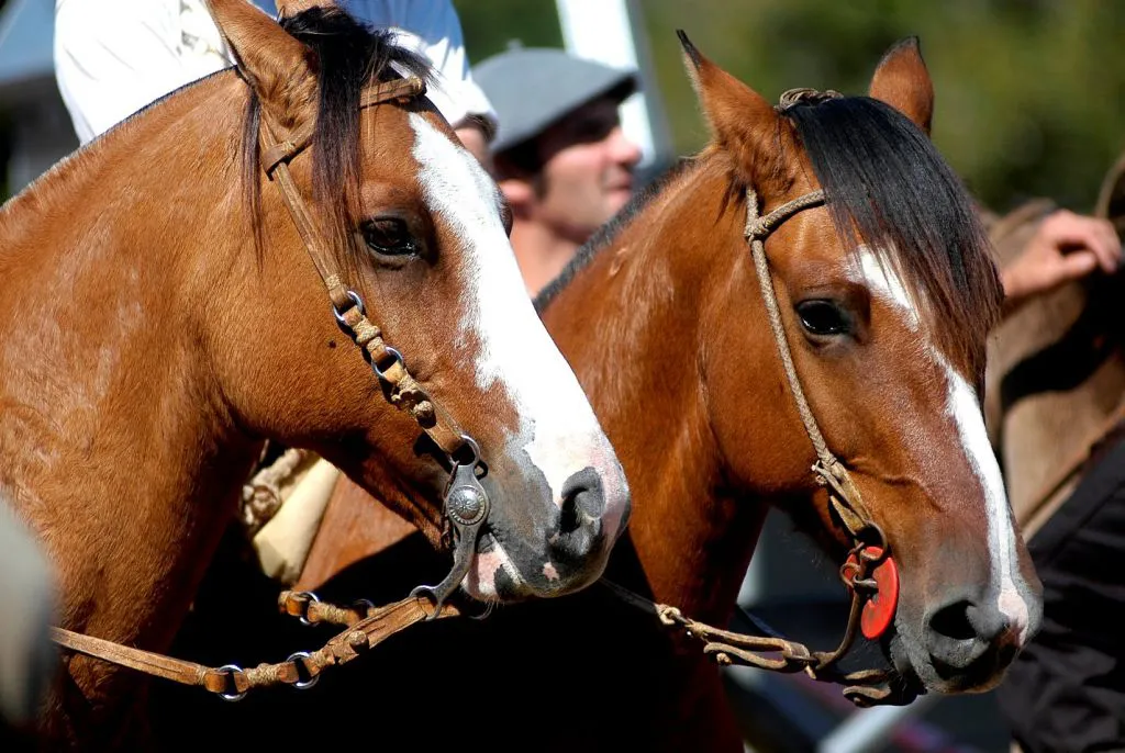 Manifestación en La Rural