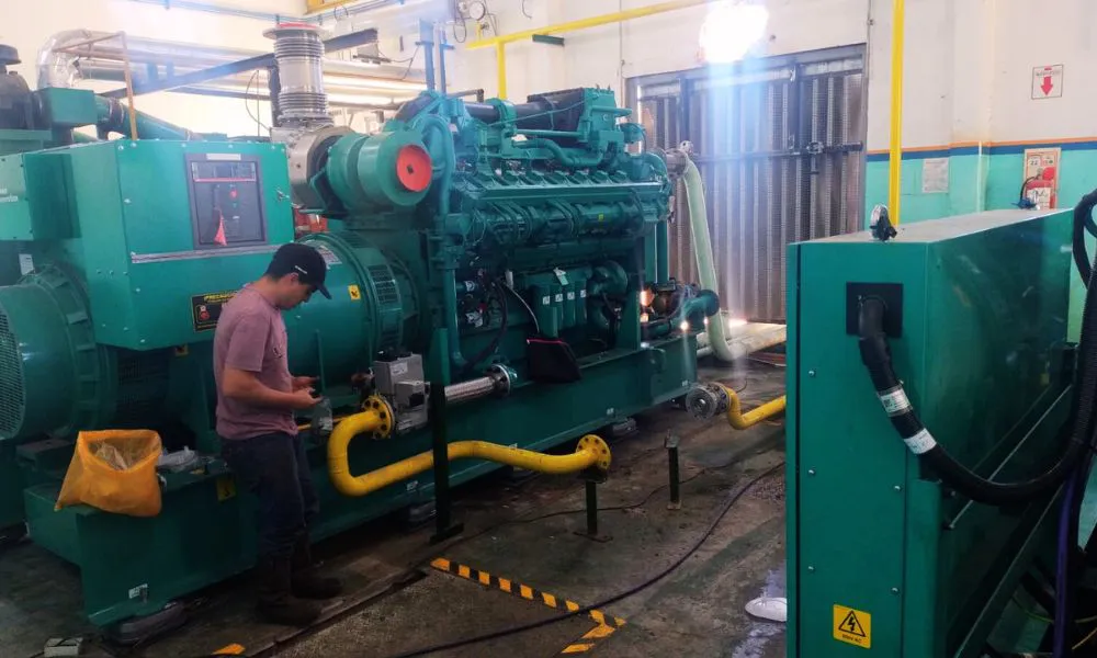 Renuevan las centrales de generación aislada en Gobernador Costa y Río Mayo