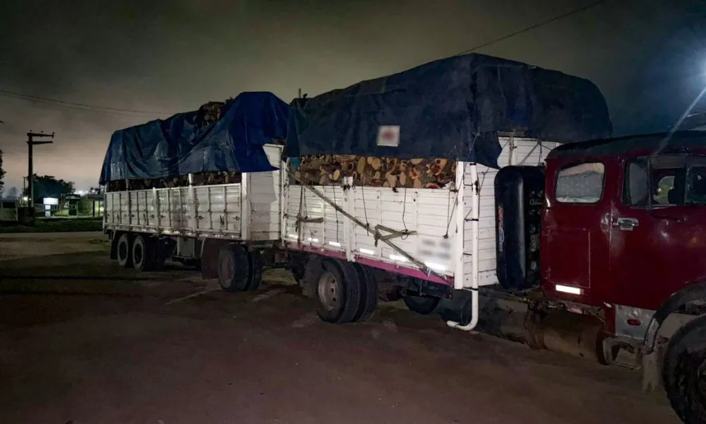 Camionero con DNI ajeno y sin licencia de conducir