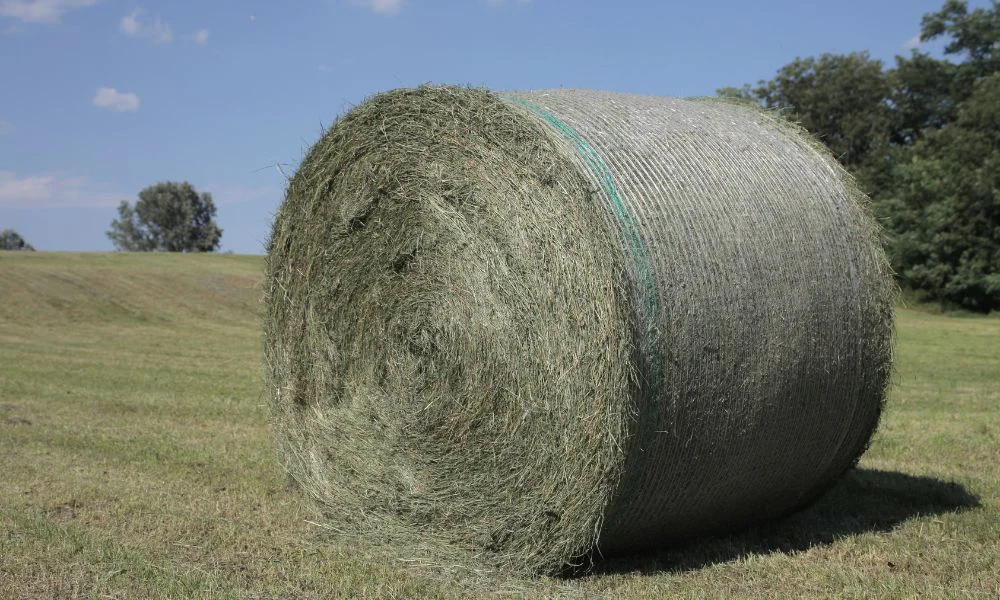 Un trabajador rural murió aplastado por un rollo de alfalfa