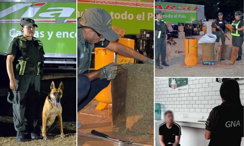 Encomienda con cannabis