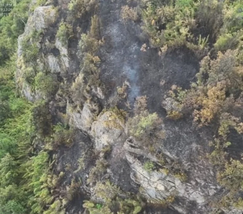 Los Alerces Los Alerces