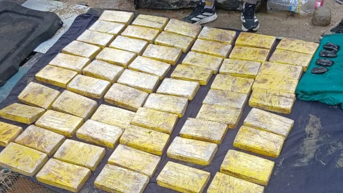 Secuestran 61 kilos de cocaína durante el Operativo Ruta Austral