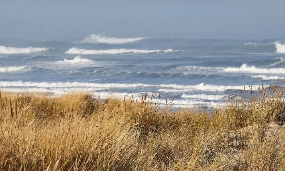 Frío y viento en la costa