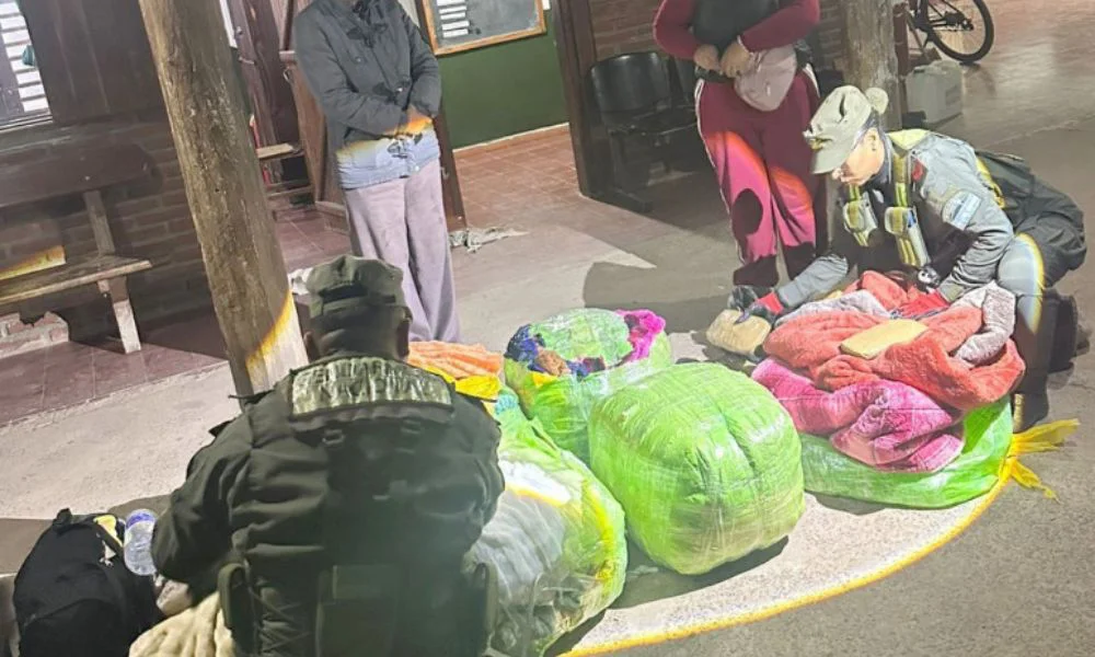 Incautan 12 kilos de cocaína ocultos en un colectivo