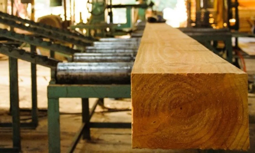 Censo Foresto Industrial