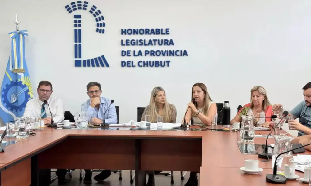 Comisiones de la Legislatura