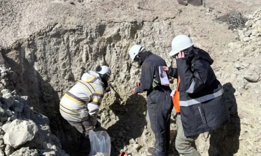 El hallazgo posiciona a la provincia en un sector estratégico a nivel global.