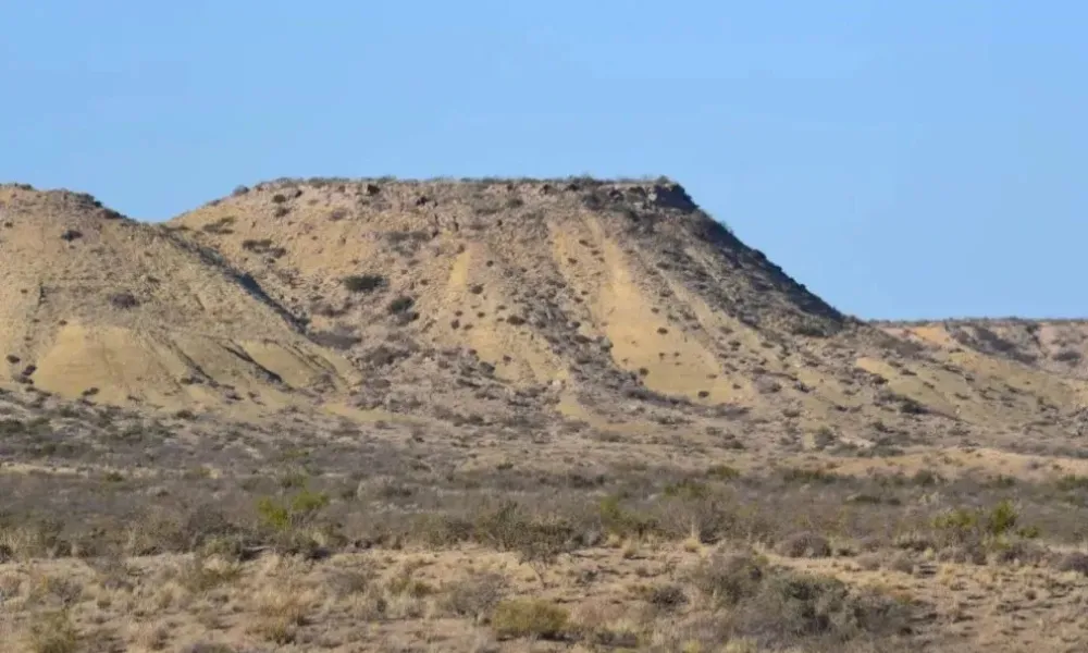 Bardas de Roca