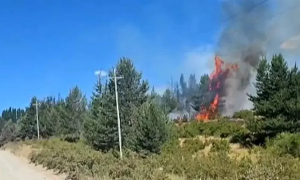 incendio en Cholila