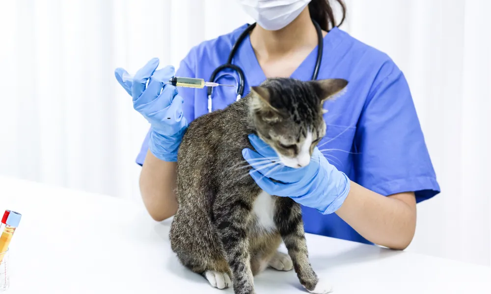 Día del veterinario (1)