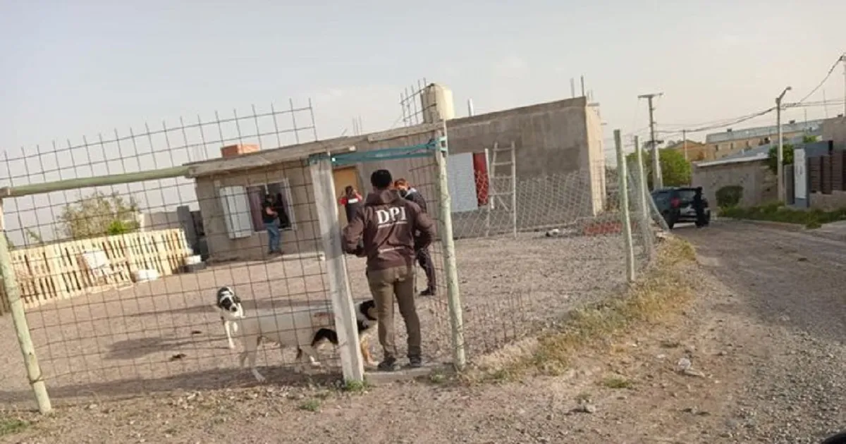Allanamiento en un domicilio en Trelew