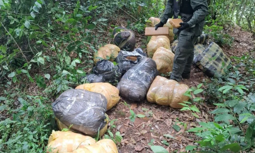 Incautaron 189 kilos de marihuana en el Paraná