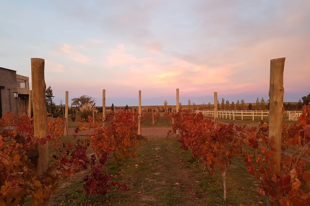 finca caballo blanco tapa_11zon