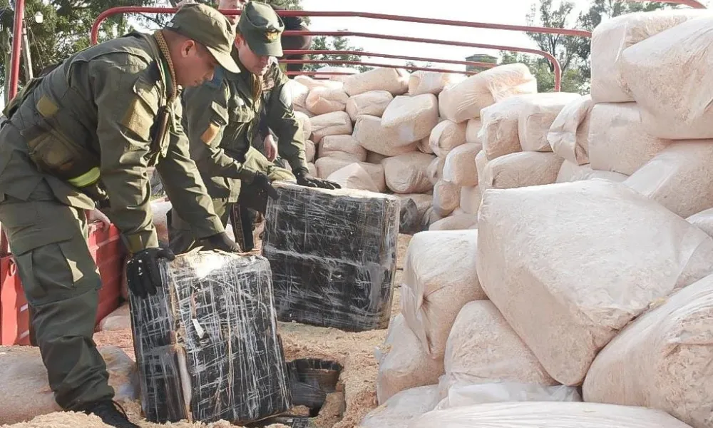 Marihuana disimulada entre el aserrín