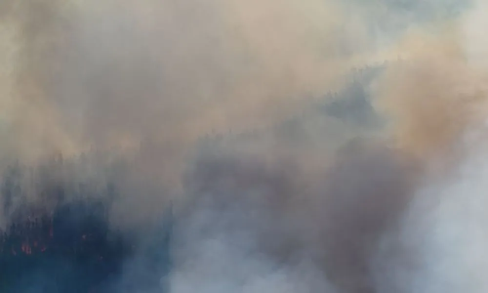 Incendio forestal