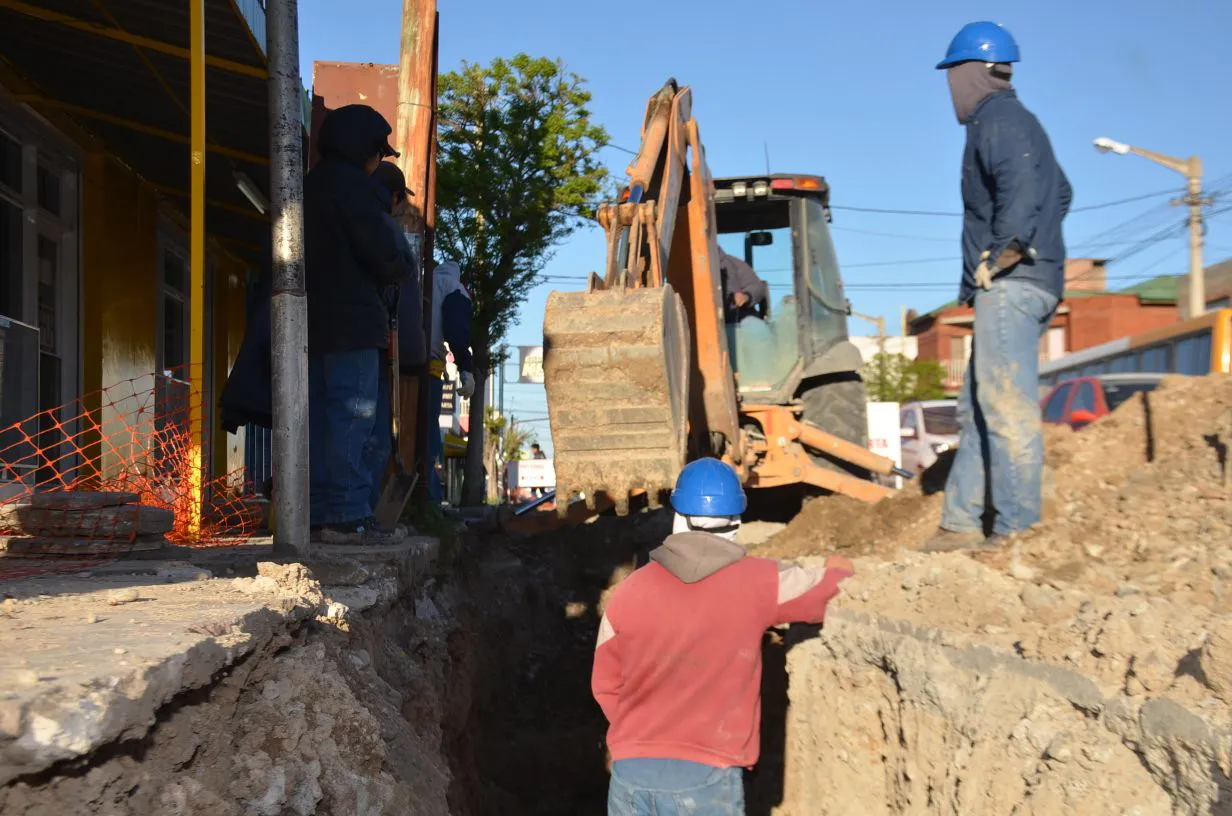 Colectores-1