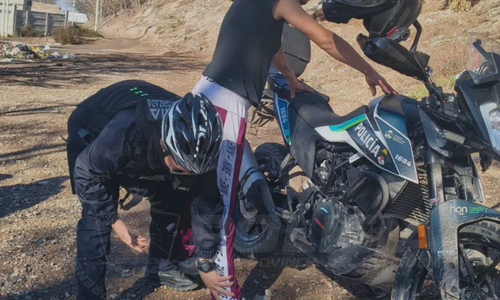 Demoran a una mujer que intentó descartar mercadería presuntamente robada