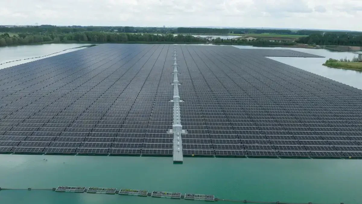 Paneles solares (DW)