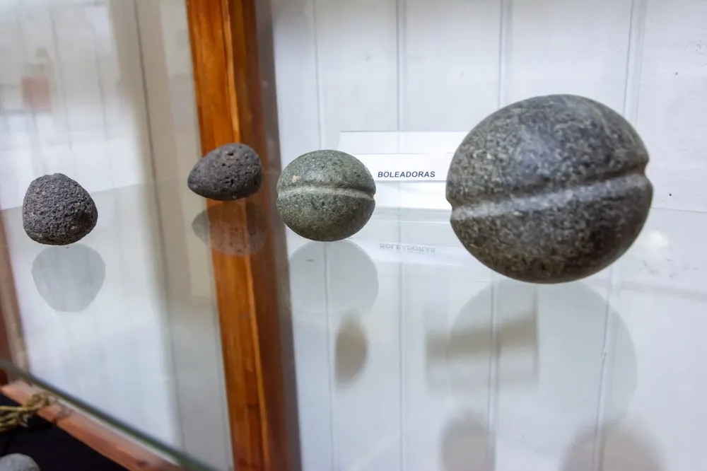 Muestra Pueblos Originarios