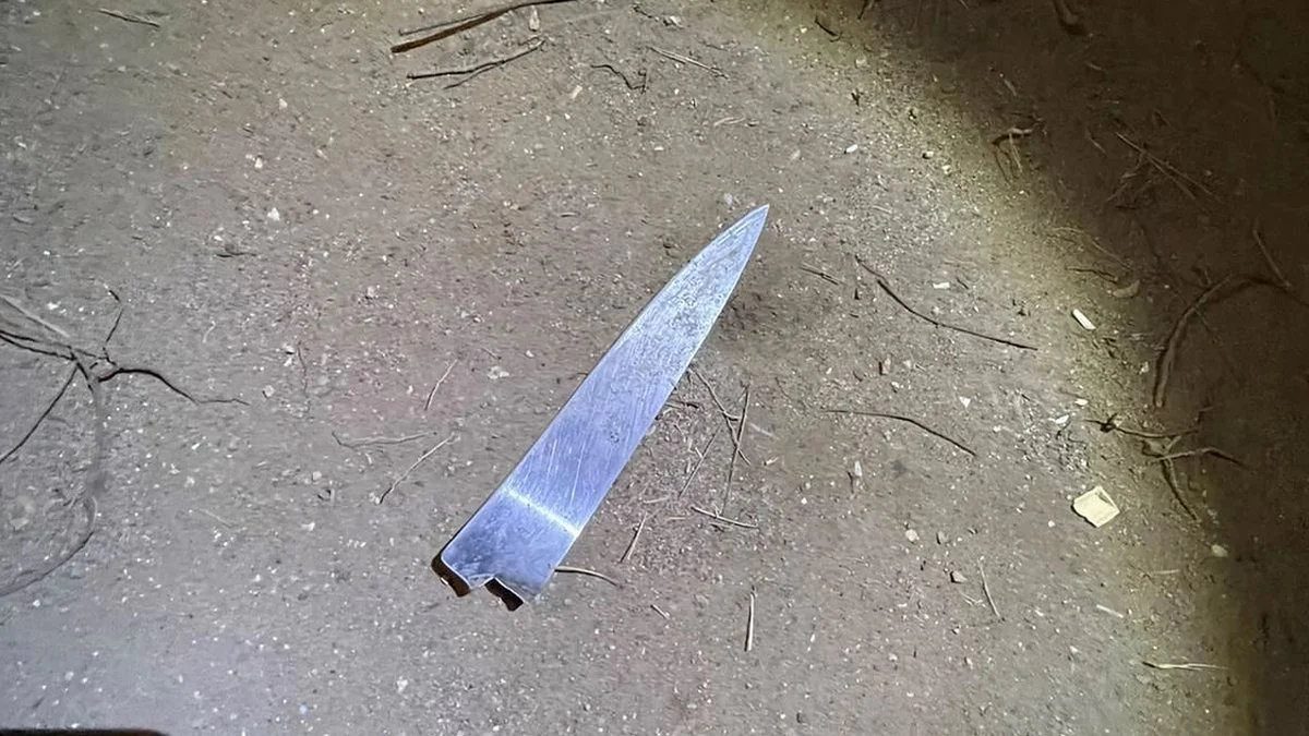 Detuvieron a un hombre de 39 años por un ataque con arma blanca