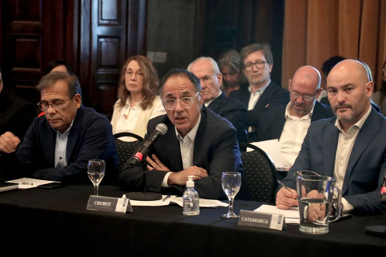 Chubut participo del primer Consejo Federal de la Salud