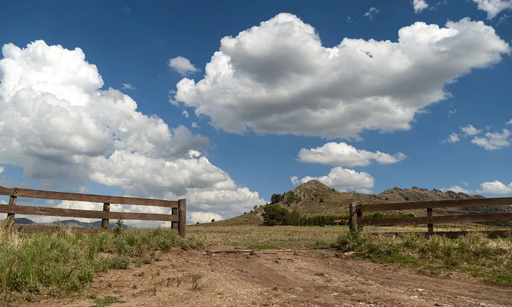 Tranquera de campo en la Patagonia iamgen Freepik