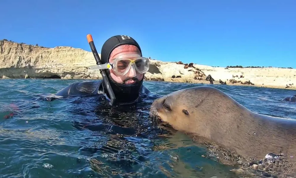 Buceo con lobos