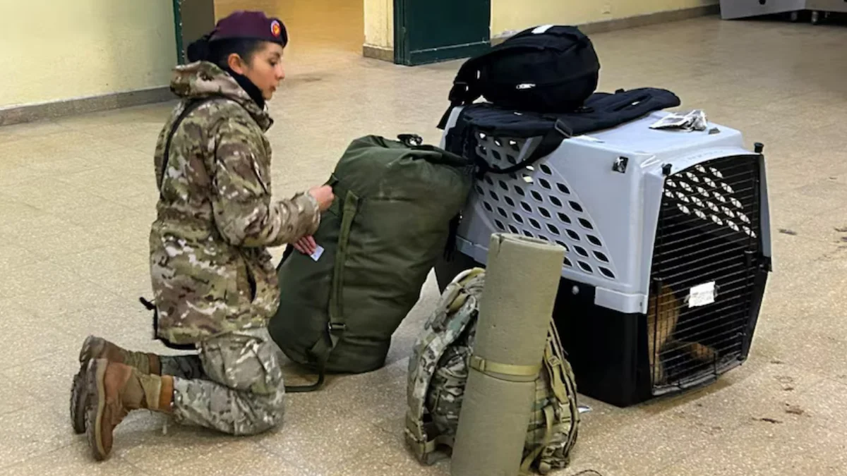 Misión humanitaria -2
