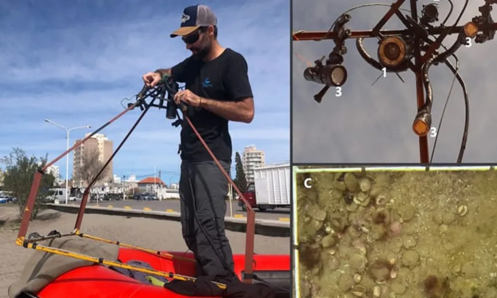 Nuevo sistema de video submarino