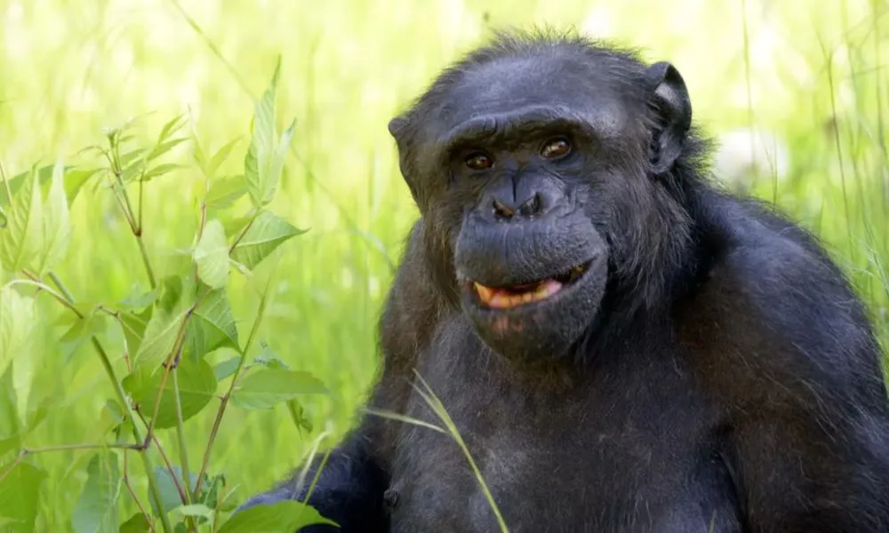 Murió Tomy. Foto 0221