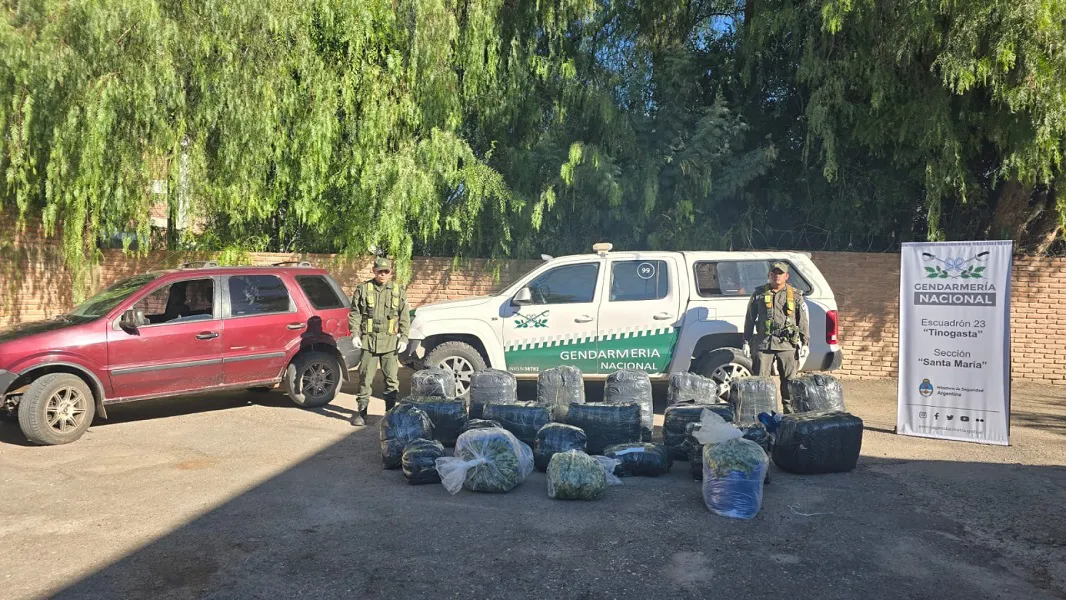 Secuestran 350 kilos de hojas de coca
