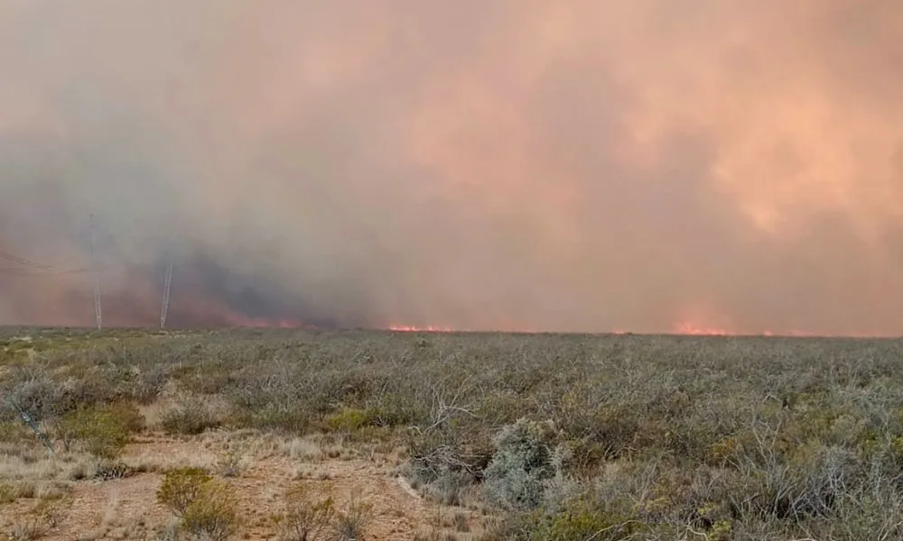 Incendio en Puerto MAdryn 2025 2