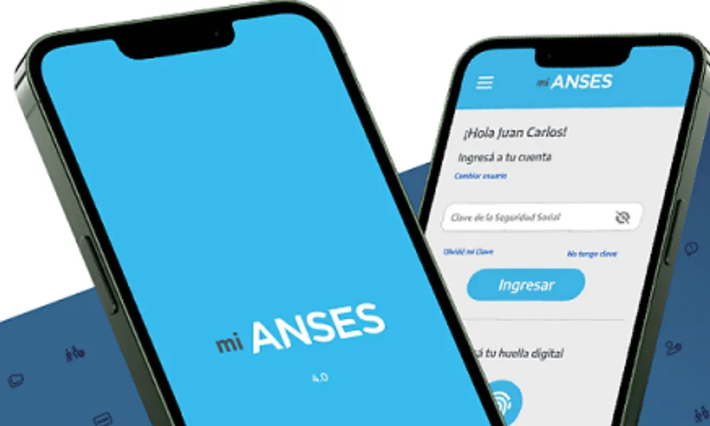 Anses On line